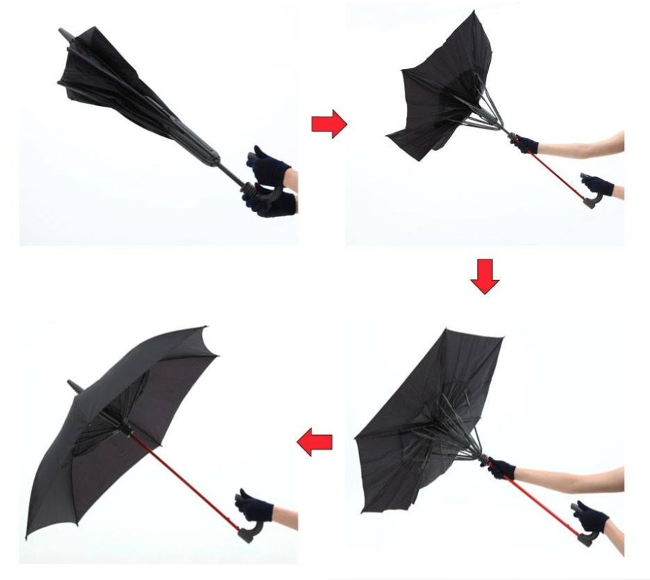 Gax Umbrella - flat 6